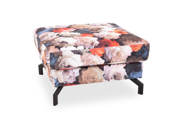 Hocker Greeley