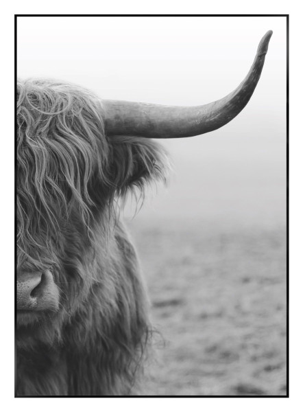 Bild HIGHLANDER in mehrfarbig aus Papier