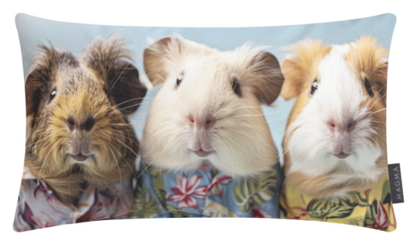 Kissen CRAZY in mehrfarbig aus Polyester