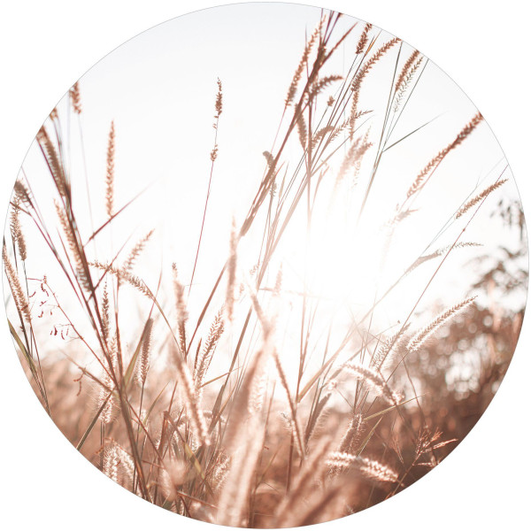 Bild SUMMER GRASSES in beige aus Papier