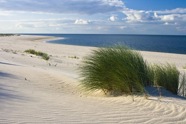 Leinwandbild STRAND DÜNENGRAS