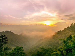 Keilrahmenbild JUNGLE I Keilrahmenbild JUNGLE I