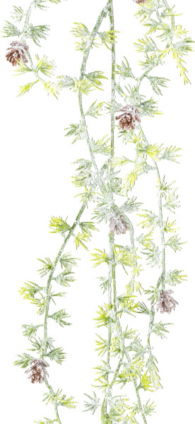 Zederngirlande in grün aus Kunststoff