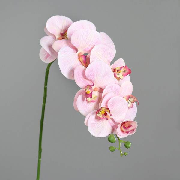Kunstblume Phalaenopsis ROSA