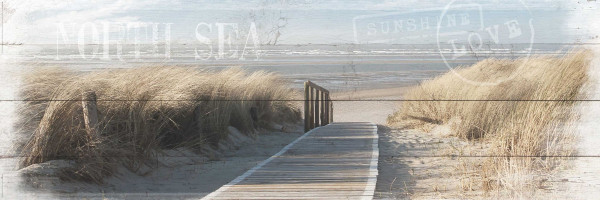 Bild DUNES