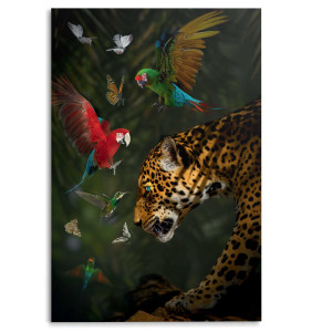 Glasbild JUNGLE PLAYERS Glasbild JUNGLE PLAYERS