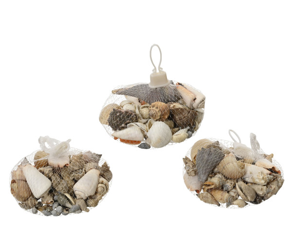Dekomuscheln NATURE in mehrfarbig aus 100 % Naturmaterial