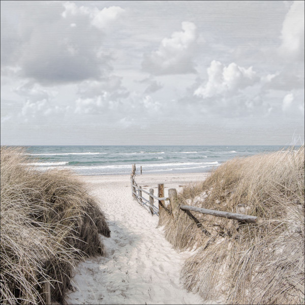 Aludibondbild WAY TO SEA II in mehrfarbig aus Alu