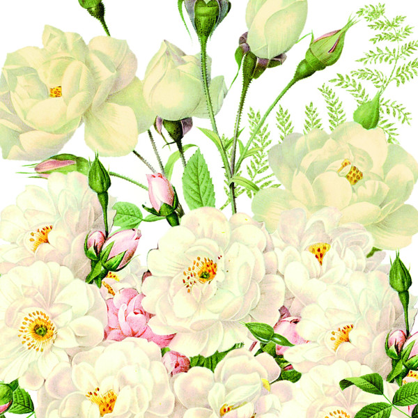 Servietten ROSES BLANCS in bunt aus Papier