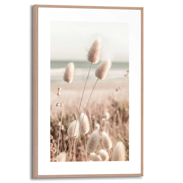 Bild ROMANTIC GRASSES