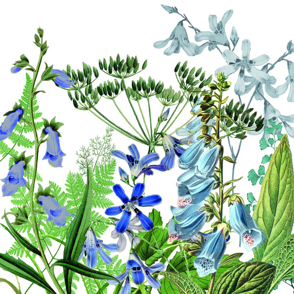 Servietten DONATELLA in bunt aus Papier