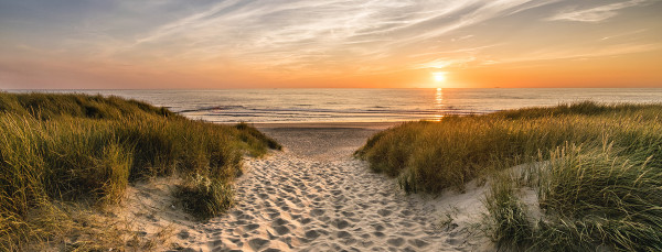 Glasbild WEG ZUM STRAND