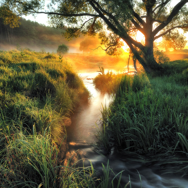 Glasbild MISTY LANDSCAPE II