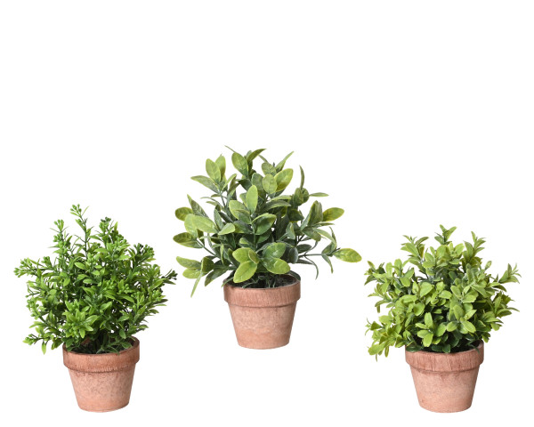 Kunstpflanze PETRA in grün aus Kunststoff