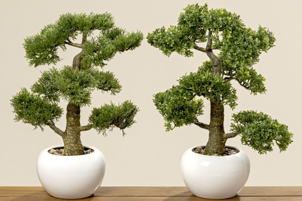 Kunstpflanze BONSAI