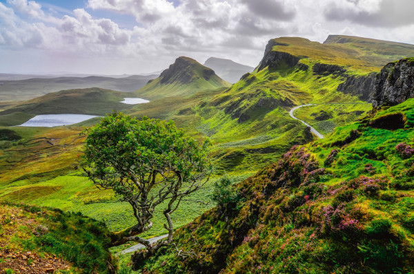 Akustikbild LANDSCHAFT aus Materialmix