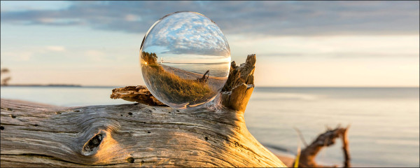 Glasbild DROP ON WOOD