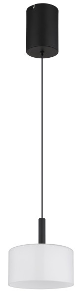 Hängeleuchte TRENTON in schwarz aus Metall