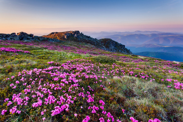 Akustikbild ALPENLANDSCHAFT