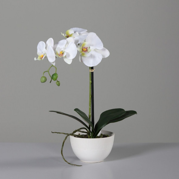 Kunstblume Orchidee in creme aus Kunststoff