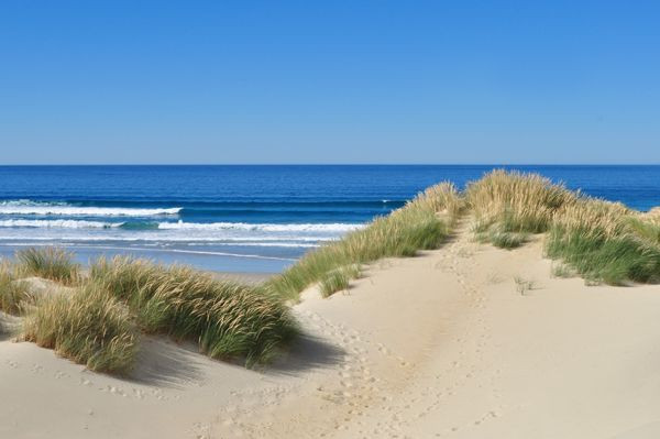 Leinwandbild DÜNEN AM MEER I