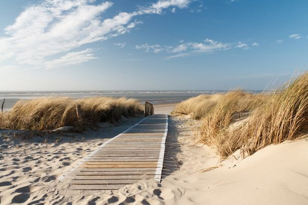 Leinwandbild HOLZWEG ZUM MEER