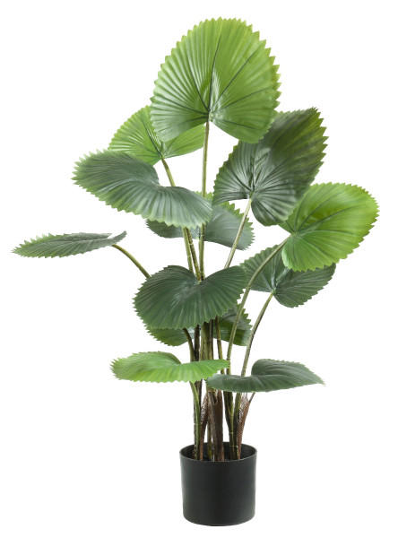 Kunstpflanze FÄCHERPALME in grün aus Kunststoff