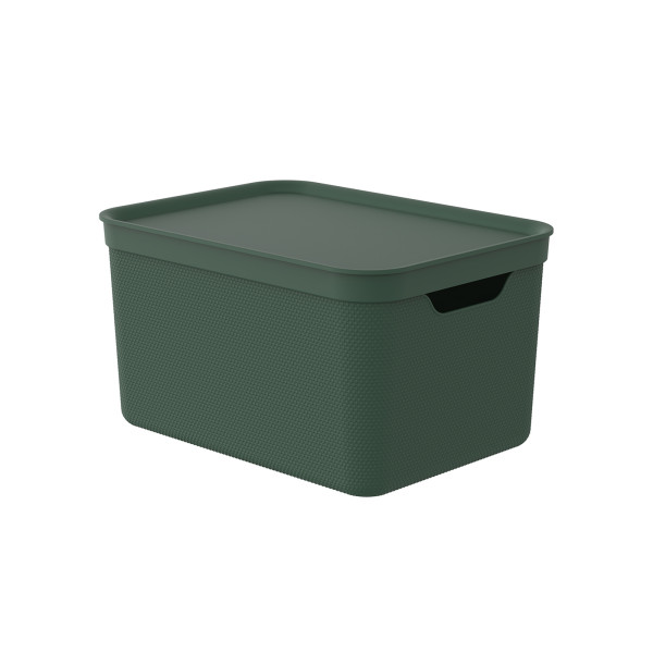 Box ALVRA mit Deckel in grün aus Polypropylen