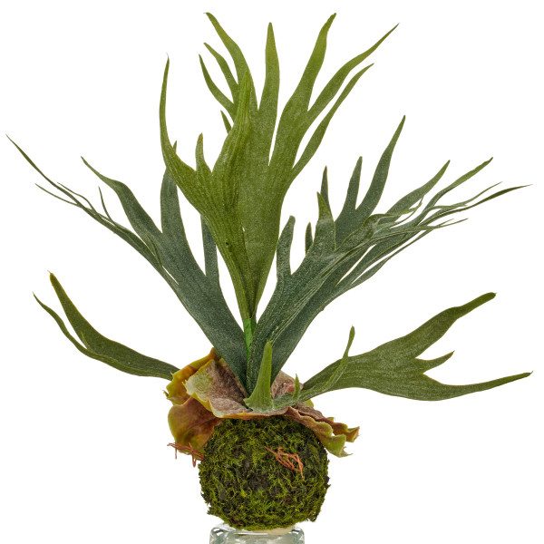 Kunstpflanze Geweihfarn in grün aus Kunststoff