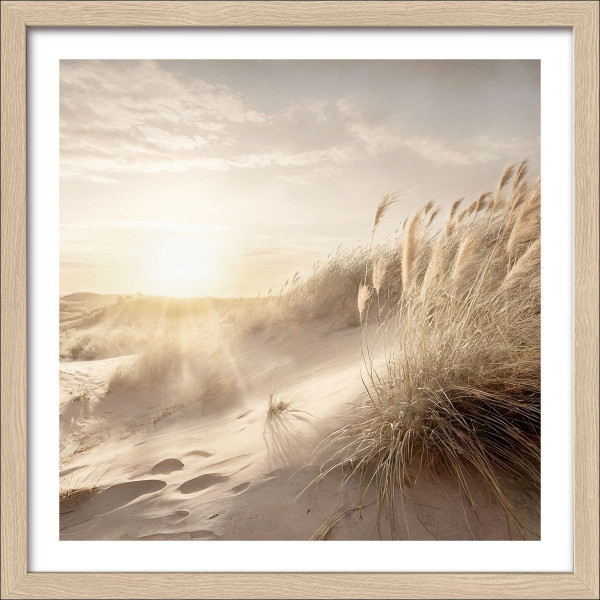 Gerahmtes Bild DUNE GRASS in mehrfarbig aus Glas satiniert