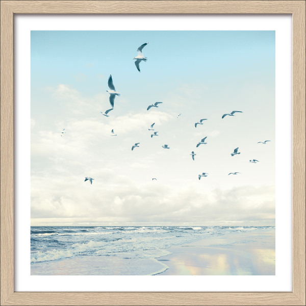 Gerahmtes Bild SEAGULLS ON THE in mehrfarbig aus Glas satiniert