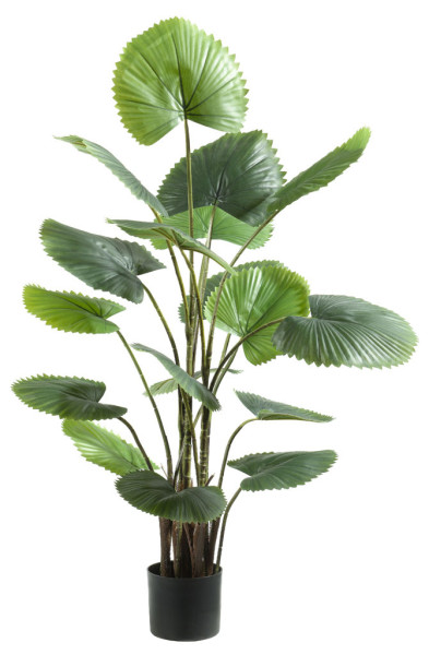 Kunstpflanze FÄCHERPALME in mehrfarbig aus Kunststoff