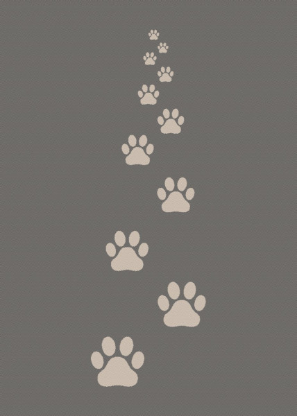 Geschirrtuch HUNDEPFOTEN aus Baumwolle