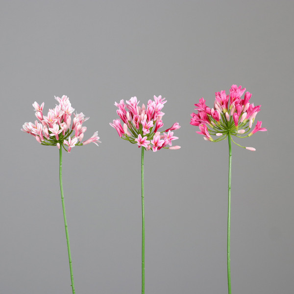 Kunstblume Agapanthus in mehrfarbig aus Kunststoff
