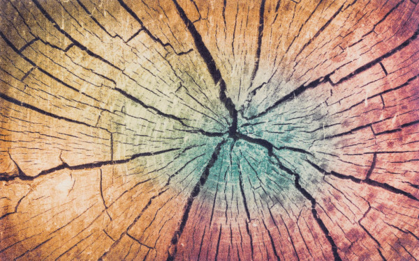Fußmatte WOOD Land in mehrfarbig aus Polyamid