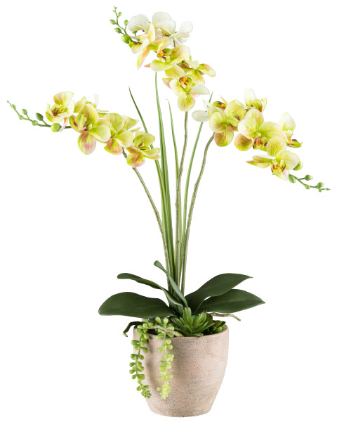 Kunstpflanze Phalaenopsis