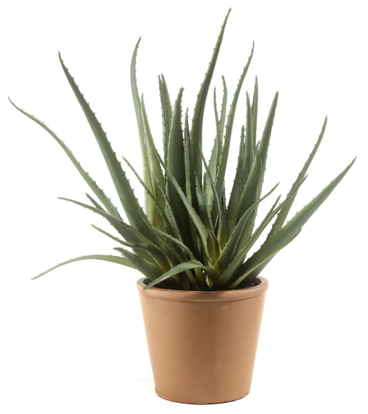 Kunstpflanze Aloe VERA