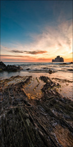 Aludibondbild NATURE MOTIVE I Aludibondbild NATURE MOTIVE I