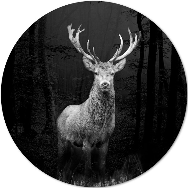 Aludibondbild GREY DEER HEAD I