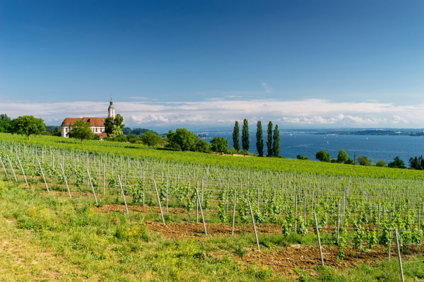 Akustikbild LANDSCHAFT