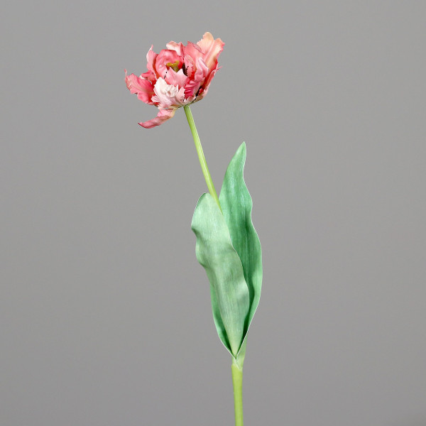 Kunstblume Tulpe