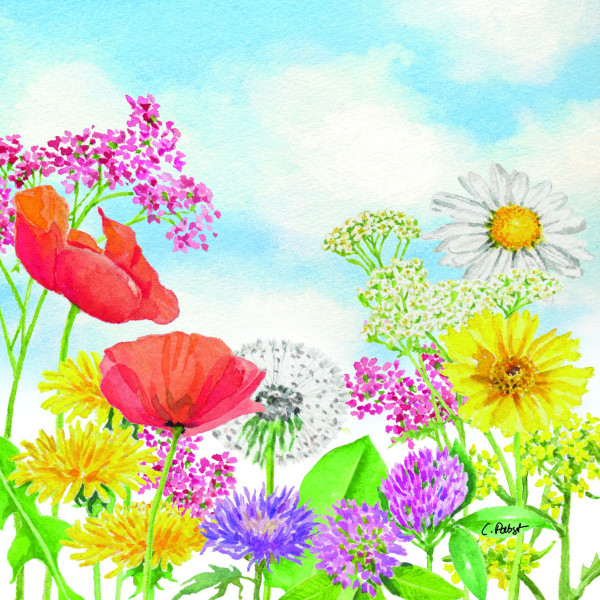 Servietten SUMMER DAY in bunt aus Papier