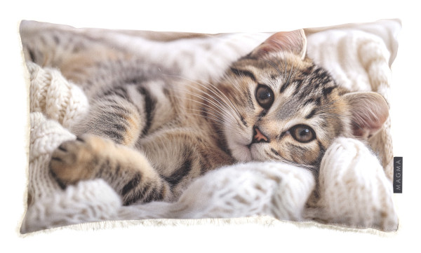 Kissen CAT in mehrfarbig aus Polyester