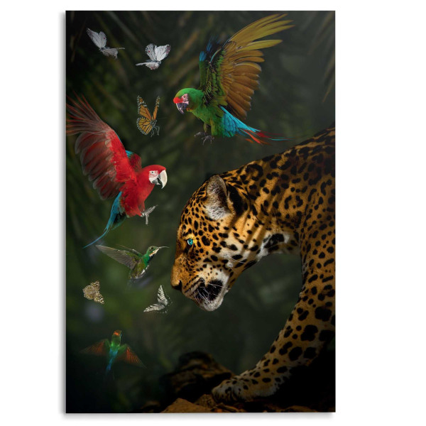 Glasbild JUNGLE PLAYERS in mehrfarbig aus Glas