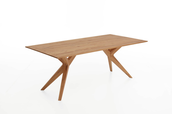 Esstisch YPSILON