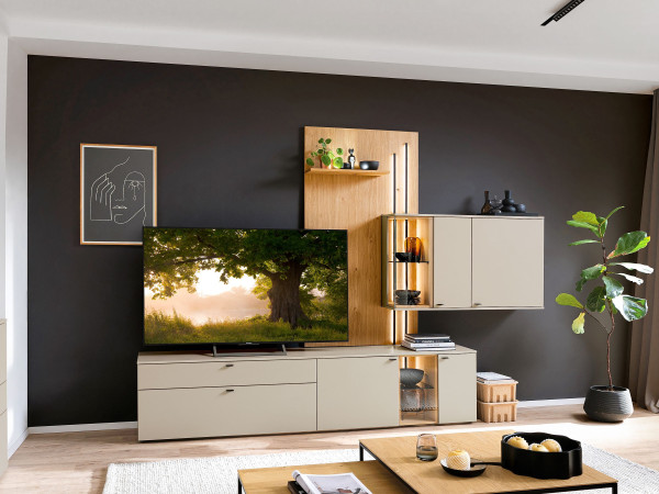 Wohnwand VENJAKOB VANYA in Steingrau aus Lack