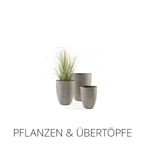 Pflanzen & Übertöpfe
