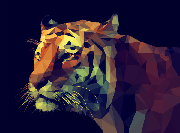 Keilrahmenbild COLOURFUL TIGER in mehrfarbig aus Holz