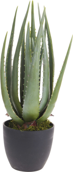 Kunstpflanze ALOE VERA in grün aus Polypropylen