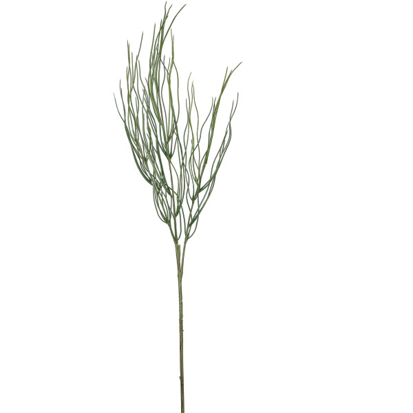 Kunstpflanze Ginster in grün aus Kunststoff